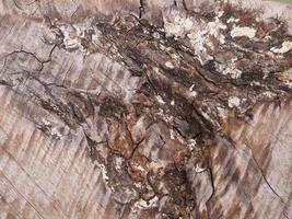 An old wooden plank table with a mottled surface and a pattern. photo