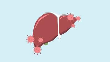 heart liver with hepatitis virus hepatitis vector