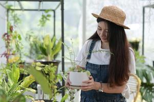 mujer joven cuidando árboles, equipo de plantación y cuidado, plantas en invernaderos, pequeñas empresas. foto