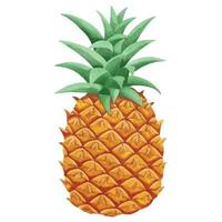 Hand drawn watercolor pineapple, exotic tropical fruit painting, vector illustration