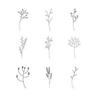 conjunto dibujado a mano de arte de línea de flores silvestres de doodle de hoja botánica vector