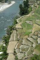 Step Cultivation on River Bank photo