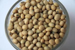 Soya Bean Grains photo