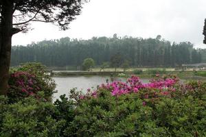 lago y jardin foto