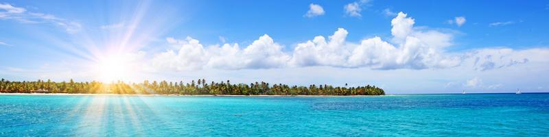 isla tropical con palmeras y panorama de playa como fondo foto