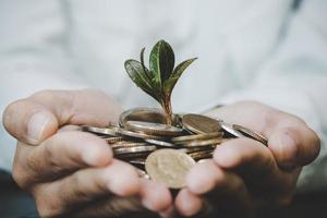 Plant growing from money photo