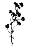 Wildflower silhouette isolated on white background. Meadow flower. Vector illustration.