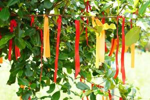 cintas multicolores atadas en el árbol foto