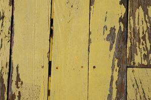 Old wooden background has peeling paint. photo