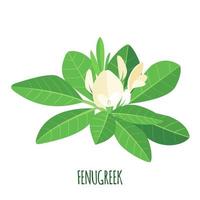 icono de fenogreco en estilo plano aislado sobre fondo blanco. planta botánica médica ayurvédica. ilustración vectorial vector