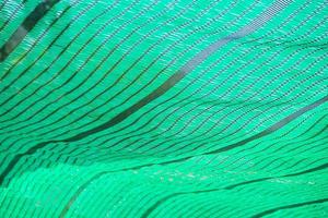 Green Shading Net protect sun light photo