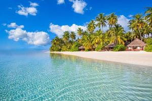 Paradise beach resort with palm trees and straw umbrellas and tropical sea in Maldives island. Summer vacation and tropical beach concept. photo