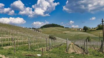 landscapes of the Piedmontese Langhe of Barolo and Monforte d'Alba, during the spring of 2022 photo