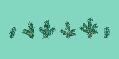 Hand Drawn Fir Tree Branches Isolated on Background. Green Pine Trees Parts Collection. vector