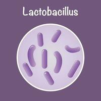 gráfico de ilustración vectorial de lactobacillus vector