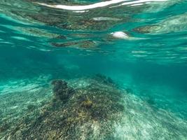 Underwater at the beach on the island photo