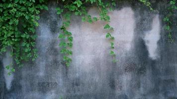 The old cement wall was weathered, the surface was scratched, the surface was scratched and damaged. For a mysterious retro-conservative background. photo