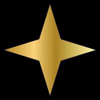 Golden Star on The Black Background. EPS10 vector