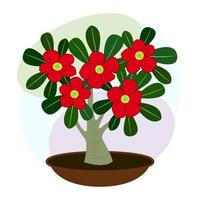 Indoor flower. Houseplant. Blooming adenium. Bonsai. Vector image