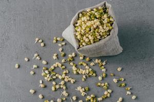 Green orgnaic mung beans with sprouts spread near small sack, isolated over grey background. Selective focus. Healthy moong dal photo