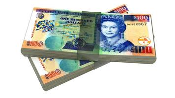 el dolar de belice es la moneda oficial en belice foto