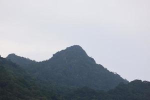 hermosa naturaleza verde durante el día foto