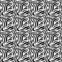 Black and white zebra seamless pattern. Design for fabric, clothing, wrapping paper. Vector illustration