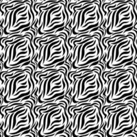 Black and white zebra seamless pattern. Design for fabric, clothing, wrapping paper. Vector illustration