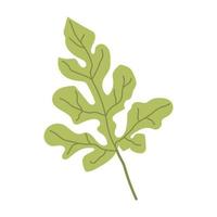 ilustración vectorial de una hoja de sandía vector