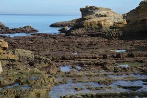 Low tide on the cost from Biarritz photo