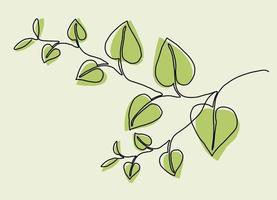 Simplicity ivy continuous line freehand drawing. vector