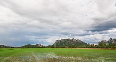 paisaje de cielo azul y campo de arroz verde en Tailandia foto