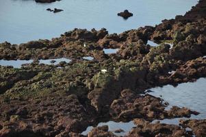 Low tide, Biarritz Biscay photo