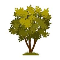árbol verde de dibujos animados aislado en un fondo blanco. elemento vectorial para el paisaje de primavera o verano. vector