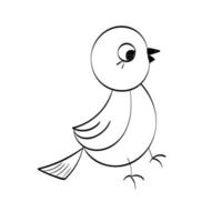 lindo diseño de pájaro dibujado a mano para imprimir vector