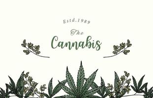 Collection of cannabis background set with green.Editable vector illustration for website, invitation,postcard and sticker