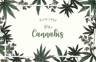 colección de fondo de cannabis con ilustración vectorial verde.editable para sitio web, invitación, postal y pegatina vector