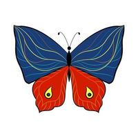 Butterfly exotic winged insect, vector illustration. Colored butterfly with large wings