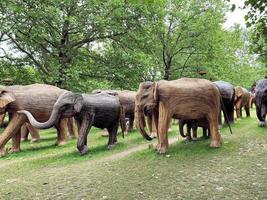 London in the UK in July 2021. A view of some Wooden Elephants in a park in London photo