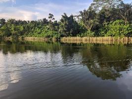 scenery, lake and forest photo