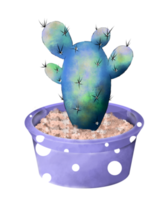 akvarell kaktus i kruka png