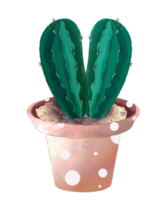 cactus acuarela en maceta png