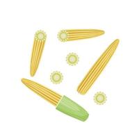 Vector illustration, baby corn with chunks and slices, isolated on white background, perfect for packaging labels.