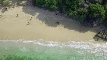 hermosa vista aérea, panorama de las olas en la playa de pangandaran, java occidental - indonesia. video