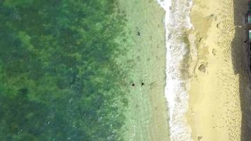 mooie luchtfoto van de golven op het strand van Pangandaran, West-Java - Indonesië. video