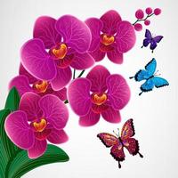 Floral design background. Orchid flowers with butterflies. vector