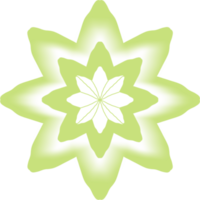 étoile avec fleur png