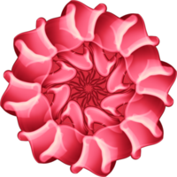 Mandala Blumen Design png