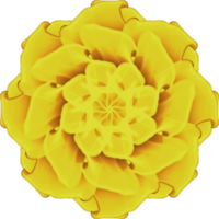 icona del fiore di mandala png