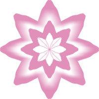 star with flower png